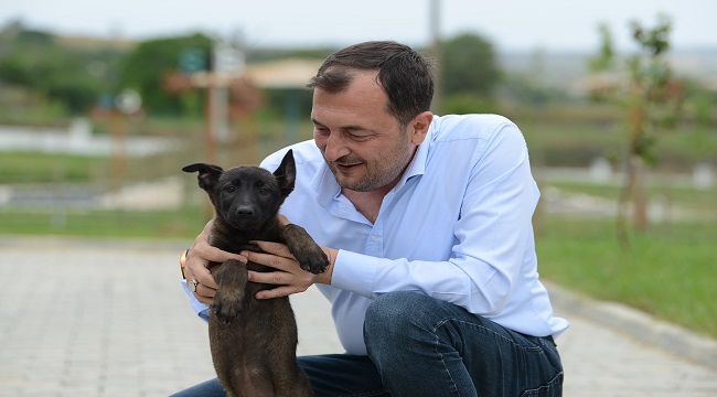 Cüneyt Yüksel : “Sokak Hayvanlarımız Bizim sessiz dostlarımızdır”