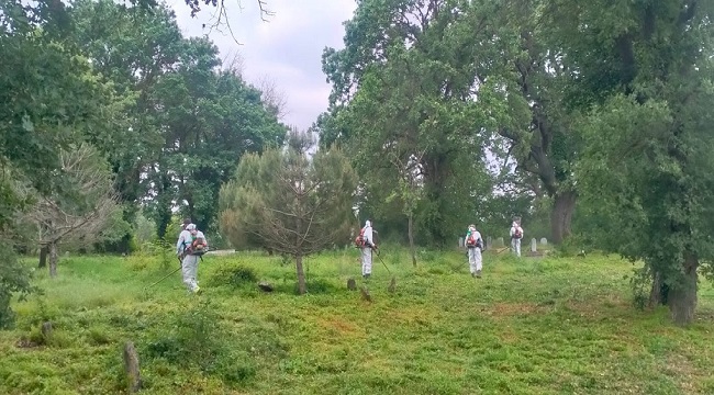 BÜYÜKŞEHİR DAHA YEŞİL BİR TEKİRDAĞ İÇİN ÇALIŞIYOR