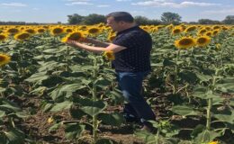 “Alın terini toprağa akıtan çiftçimizi yok sayarsanız, yok oluruz”