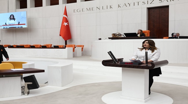İYİ Partili Hamşıoğlu Tbmm Kürsüsü’nden Seslendi
