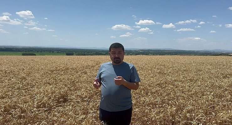 YAZGAN’DAN TMO’YA BUĞDAY TEPKİSİ