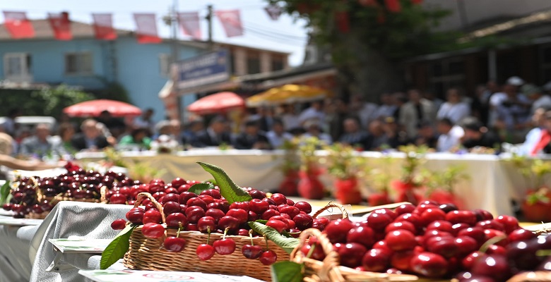 Kiraz Yarışması (9)
