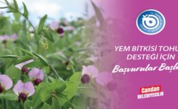 YEM BİTKİSİ TOHUM DESTEĞİ BAŞVURULARI BAŞLADI