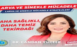 BÜYÜKŞEHİR’DEN VEKTÖRLERLE MÜCADELEDE ETKİLİ ADIMLAR