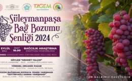 Süleymanpaşa Bağ Bozumu Şenliği başlıyor