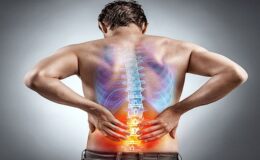 Kas İskelet Sistemi Hastalıkları ve Bel Sağlığı