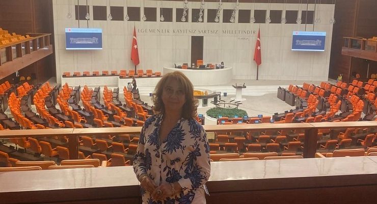 Basın özgürlüğünü sınırlandıran düzenlemeler, demokrasinin ruhuna aykırıdır