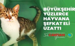 BÜYÜKŞEHİR YÜZLERCE HAYVANA ŞEFKAT ELİ UZATTI