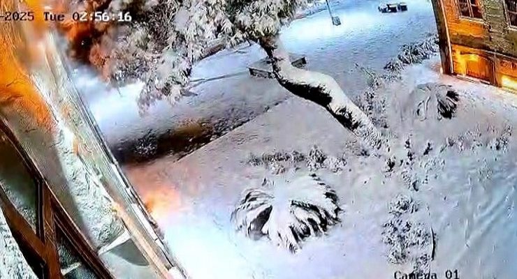 Müze Keşan’da Ağaç Kesimi İddialarına Yanıt: “Ağaç Yoğun Kar Yağışına Dayanamadı”