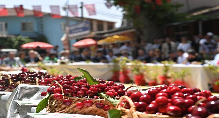 Kiraz Festivalinin Tarihleri Belli Oldu