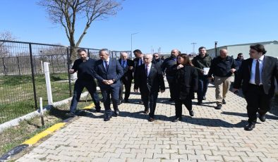 Keşan’da Sokak Hayvanları İçin Büyük Adım: 50 Bin Metrekarelik Doğal Yaşam Alanı Kuruluyor