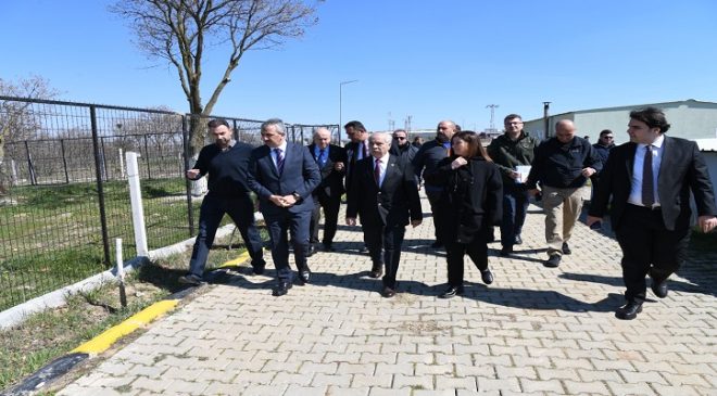 Keşan’da Sokak Hayvanları İçin Büyük Adım: 50 Bin Metrekarelik Doğal Yaşam Alanı Kuruluyor