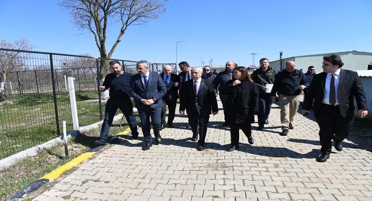Keşan’da Sokak Hayvanları İçin Büyük Adım: 50 Bin Metrekarelik Doğal Yaşam Alanı Kuruluyor