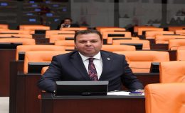 Ediz Ün: Üretici Destek Bekliyor