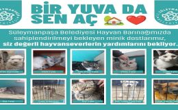 Süleymanpaşa Belediyesinden Anlamlı Çağrı