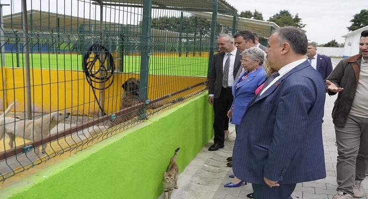 “CAN DOSTLARIMIZ İÇİN DAHA DUYARLI, DAHA YAŞANABİLİR BİR KENT HEDEFİYLE ÇALIŞIYORUZ”