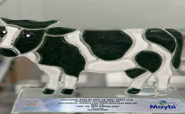 Maybi’ye 15. Kez İhracat Ödülü!