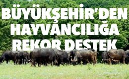 TEKİRDAĞ BÜYÜKŞEHİR BELEDİYESİ’NDEN HAYVANCILIĞA REKOR DESTEK