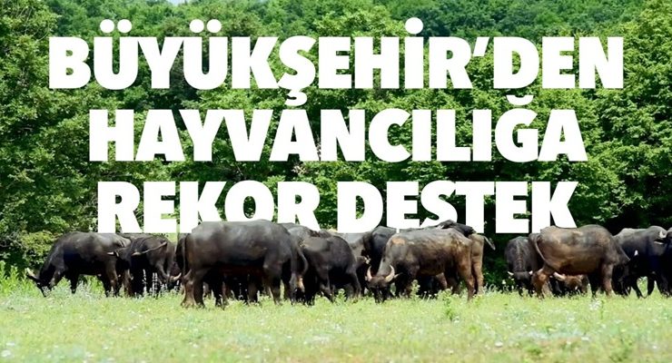 TEKİRDAĞ BÜYÜKŞEHİR BELEDİYESİ’NDEN HAYVANCILIĞA REKOR DESTEK