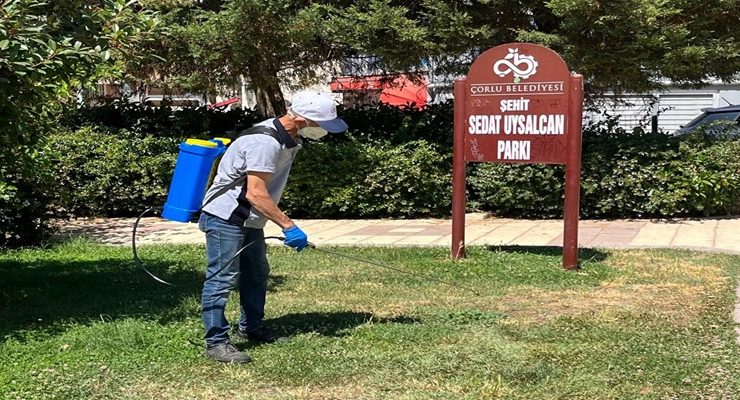 Çorlu Belediyesinden Keneyle Mücadele Çalışmaları