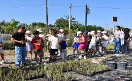Minikler Serapark’ta Bitki Serüvenine Tanıklık Ettiler