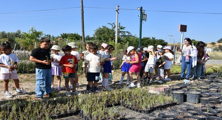 Minikler Serapark’ta Bitki Serüvenine Tanıklık Ettiler