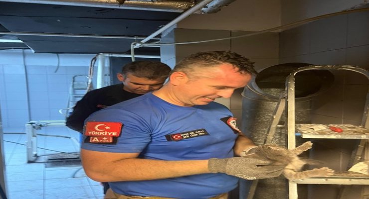Havalandırma Boşluğuna Sıkışan Yavru Kediyi Çorlu AKE Kurtardı