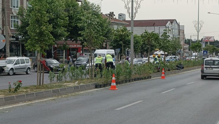 Büyükşehir’den Ergene’ye peyzaj çalışması
