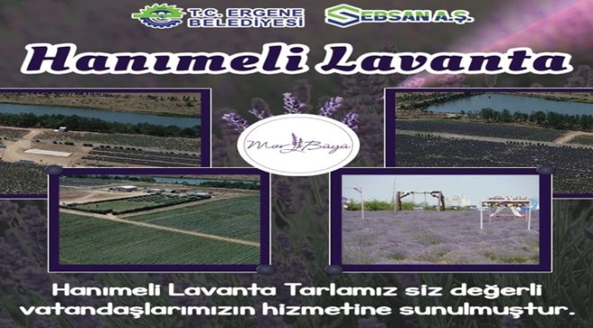 Ergene’de Hanımeli Çilek ve Lavanta Tarlası Hizmete Açıldı