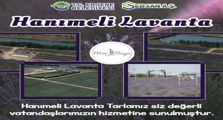 Ergene’de Hanımeli Çilek ve Lavanta Tarlası Hizmete Açıldı