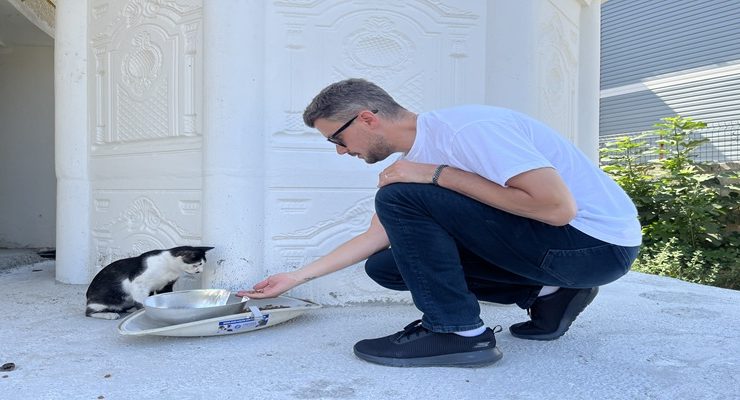 TREDAŞ’ın armatürleri, sokak hayvanları için hayatı aydınlatıyor