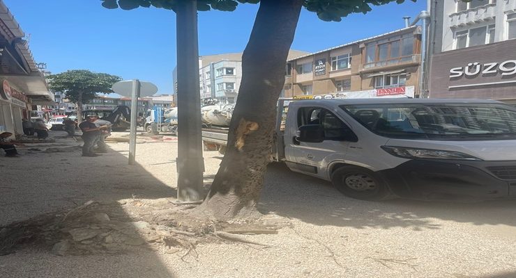 Keşan Belediyesi’nden Açıklama: Ağaçlar Güvenlik Gerekçesiyle Kaldırıldı