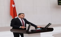 Toprak Sahipsiz, Çiftçi Desteksiz, Piyasa Tüccarın