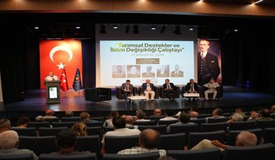 Başkan Sarıkurt Tarımsal Destekler ve İklim Değişikliği Çalıştayına Katıldı