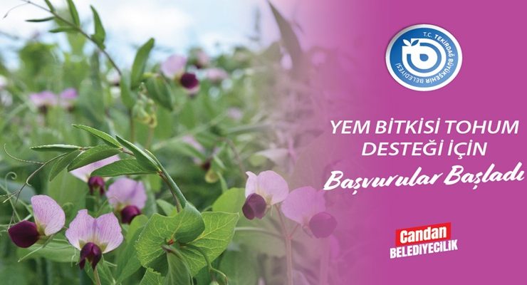 YEM BİTKİSİ TOHUM DESTEĞİ İÇİN BAŞVURULAR BAŞLADI