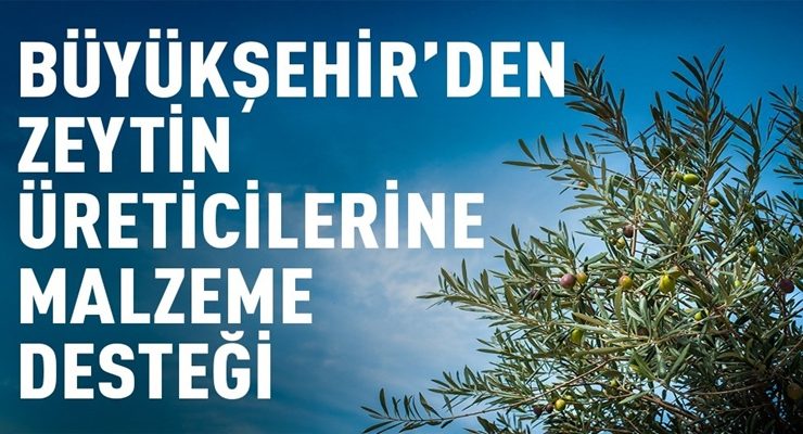 BÜYÜKŞEHİR’DEN ZEYTİN ÜRETİCİLERİNE MALZEME DESTEĞİ