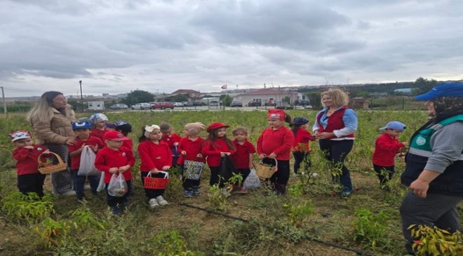Süleymanpaşalı Minik Çiftçiler İş Başında
