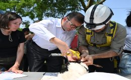 TREDAŞ, hayvan dostu projelerine devam ediyor