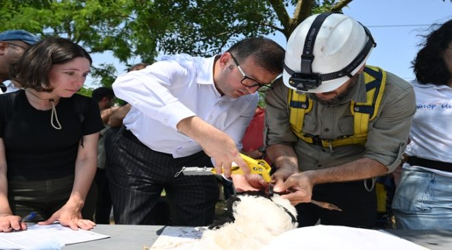 TREDAŞ, hayvan dostu projelerine devam ediyor