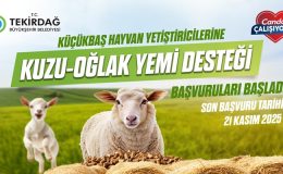 KÜÇÜKBAŞ HAYVAN YETİŞTİRİCİLERİNE KUZU-OĞLAK YEM DESTEĞİ BAŞVURULARI BAŞLADI