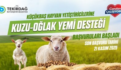 KÜÇÜKBAŞ HAYVAN YETİŞTİRİCİLERİNE KUZU-OĞLAK YEM DESTEĞİ BAŞVURULARI BAŞLADI