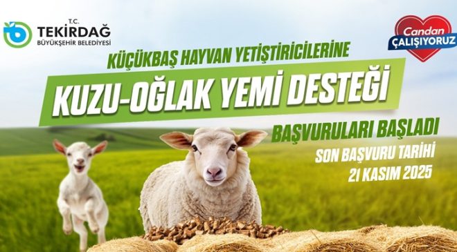 KÜÇÜKBAŞ HAYVAN YETİŞTİRİCİLERİNE KUZU-OĞLAK YEM DESTEĞİ BAŞVURULARI BAŞLADI