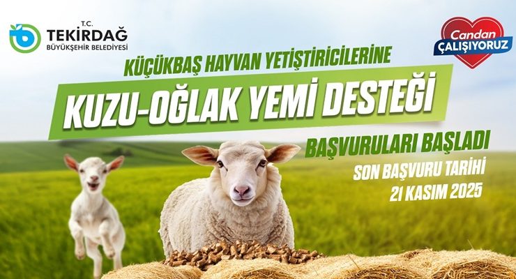 KÜÇÜKBAŞ HAYVAN YETİŞTİRİCİLERİNE KUZU-OĞLAK YEM DESTEĞİ BAŞVURULARI BAŞLADI