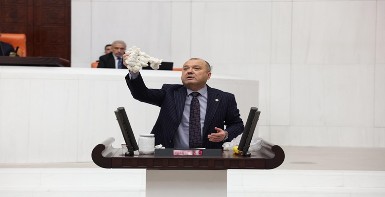 pamuk resmi