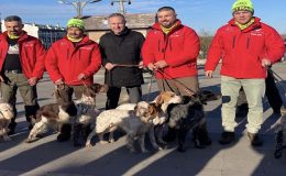 “Avrupa Çulluk Şampiyonası” İğneada’da Yapılıyor