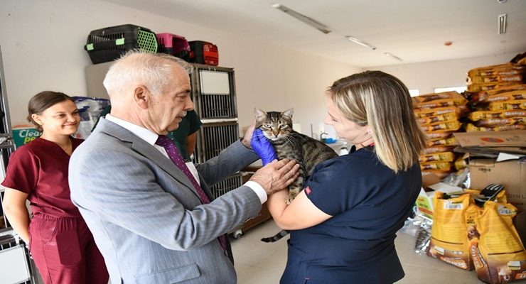 Keşan Belediyesi Veteriner Müdürlüğü 2025 Yılında Can Dostlarımız İçin Sahadaydı