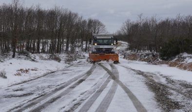 BÜYÜKŞEHİR’DEN KAR SEFERBERLİĞİ