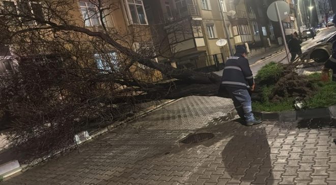 Çorlu Belediyesi Fırtınaya Karşı Teyakkuza Geçti