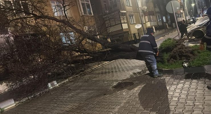 Çorlu Belediyesi Fırtınaya Karşı Teyakkuza Geçti