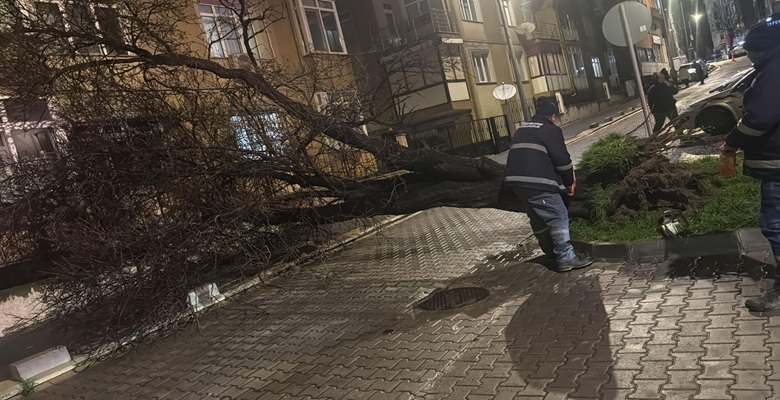 Çorlu Belediyesi Fırtınaya Karşı Teyakkuza Geçti2 (7)